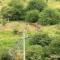 AppleTree 2-Bedroom - Scenic View of Nairobi National Park-Syokimau - 内罗毕
