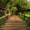 7102 Treetops Villa - 希尔顿黑德岛
