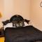 2bed Flat with private parking - 沃尔索尔
