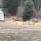 Witts End Ranch Private Get Away