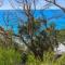 Coastal Break