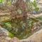 Hidden Oasis with indoor pool, exotic room and private lake - 新柏林