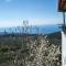 Dimos-Mani Wonderful View
