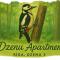 Dzenu Apartment