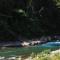 TheJungleGuide - Lodges & Treks - 武吉拉旺