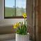 Pardon Hill Farm B&B