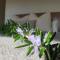 Cable Bay Luxury Villa