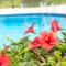 Sea View apartment in Coral Bay