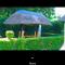 Birdsnest chill out - Nalakonge