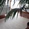 SUN & SAND GUESTHOUSE