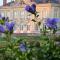 Château de Craon - 克朗