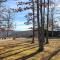 Bullfrog Bluff Mountain View Cabin with Deck!