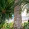 Island Inn By OYO Galveston Beach, TX