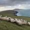 Barr na hAille - Dunquin