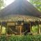 Alby Lodge Cahuita - Cahuita