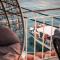 SeaView House in Pythagorio - بيثاغوريو