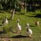 Casa de Campo Kagua Kolke 6Pax By Inside