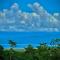 Corcovado Private Houses-Villas-Tents-pool-bar-rest - Puerto Jiménez