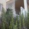 Apartman LAURA 1