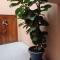 Aubergine Guesthouse, Secunda - Secunda