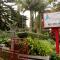 Hotel O Cemaras Homestay