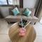Kissonerga Sea Breeze Apartments Panoramic Ocean View
