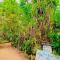 Green Grass Homestay