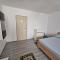 One Bedroom Studio Flat - Craiova