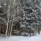 Timbernest A8 - Breckenridge
