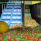Holiday Inn Express Philadelphia NE - Langhorne by IHG - لانغورن