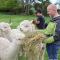Silverstream Alpaca Farmstay & Tour - Kaiapoi