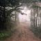 Pragathi Homestay - Mananthavady