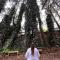 Mindfulness Glamping, Retiro de Yoga, Todo Incluido - 墨西哥城