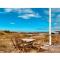 Oceanfront Coolcation on West Coast with incredible ocean views! - Kungshamn