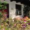 Alba Bed & Breakfast
