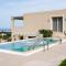 SuiteHome Villas with Private Pools by Explore Andros - Ándros