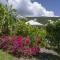 Villa An ti kwen paradi 3 chambres avec piscine et vue mer - 莱昂斯-达赫雷
