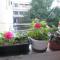 Guest House Marija