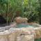 One bedroom semi-detached stone-built villa with beautiful gardens and pool - 利马索尔