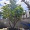 Sea Breeze Stegna