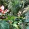 Jungle Hideaway Villas - Newly Renovated Formerly Griya Bunga 2 - Unit 1 - 乌布
