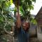 Tiny Homestay