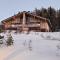 Chalet neuf 5 chambres avec sauna et parking, accès direct aux pistes - FR-1-755-29 - Эм-ла-Плань