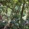Jungle Hideaway Villas - Newly Renovated Formerly Griya Bunga 2 - Unit 4 - 乌布