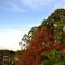 Gigiri Express Hotel