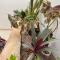 Casa Carlotta - Authentic Stay in Maio