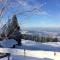 Ferienwohnung mit Aussicht im Bergdorf Steibis im Allgäu