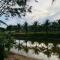 Coco farm stay Suanphueng - Ratchaburi