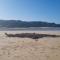 Pause Place - Boesmansriviermond