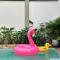 Golden Palm Resort - 甲米镇